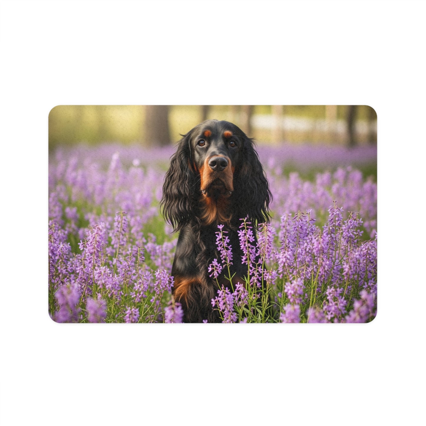 Pet Food Mat (12x18) - Gordon Setter