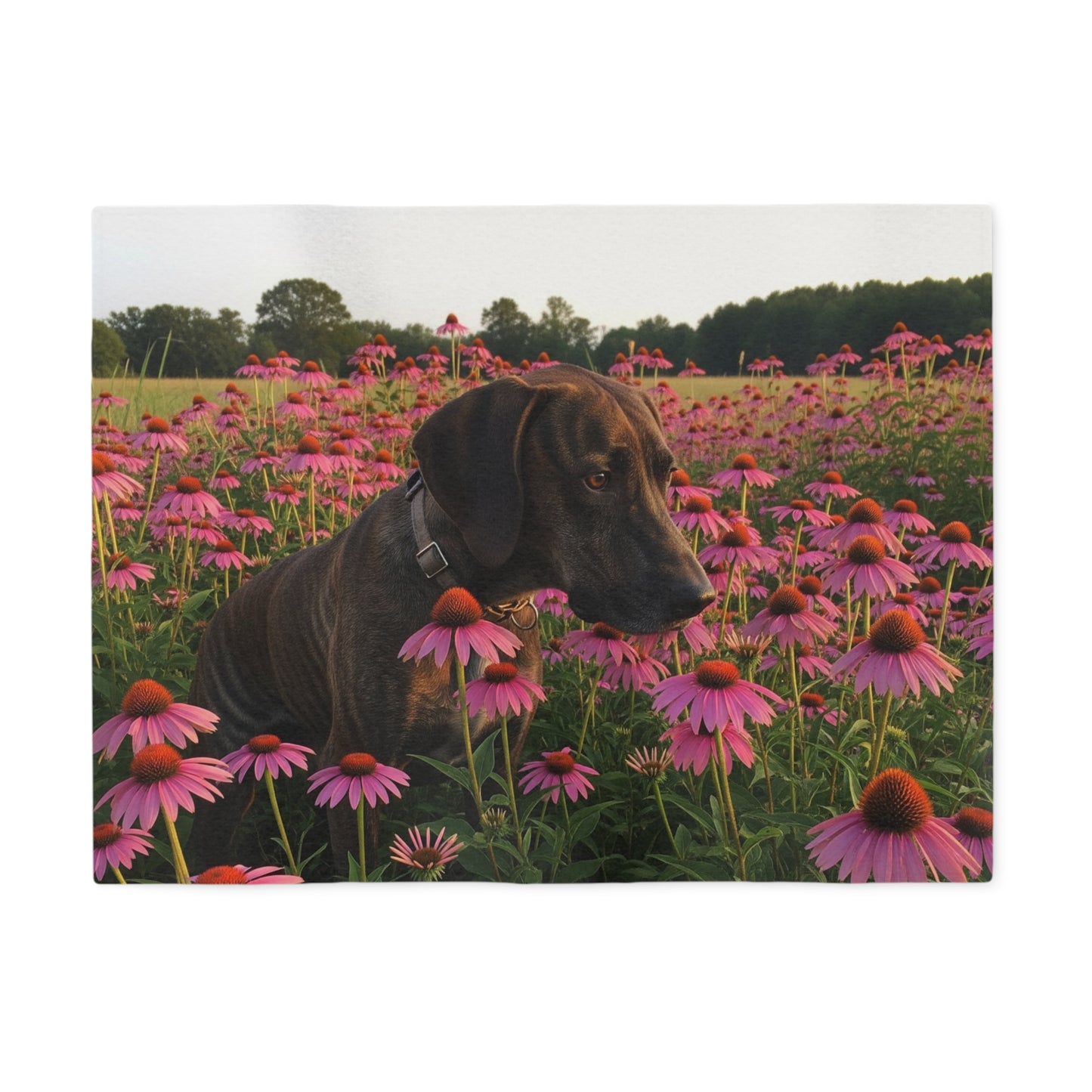 Treeing Tennessee Brindle Sweatshirt Blanket