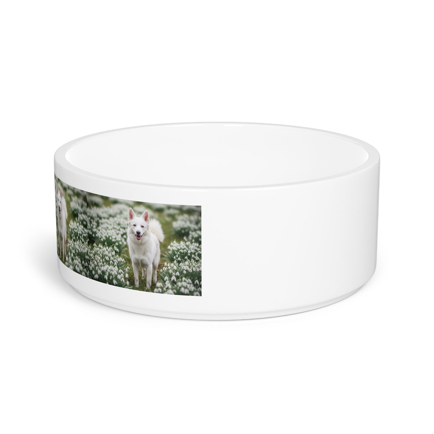 Volpino Italiano Pet Bowl