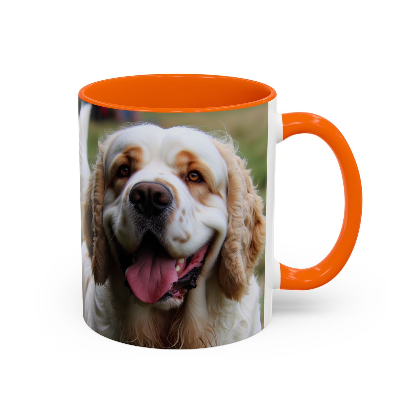 Clumber Spaniel Accent Coffee Mug - Perfect Gift for Dog Lovers