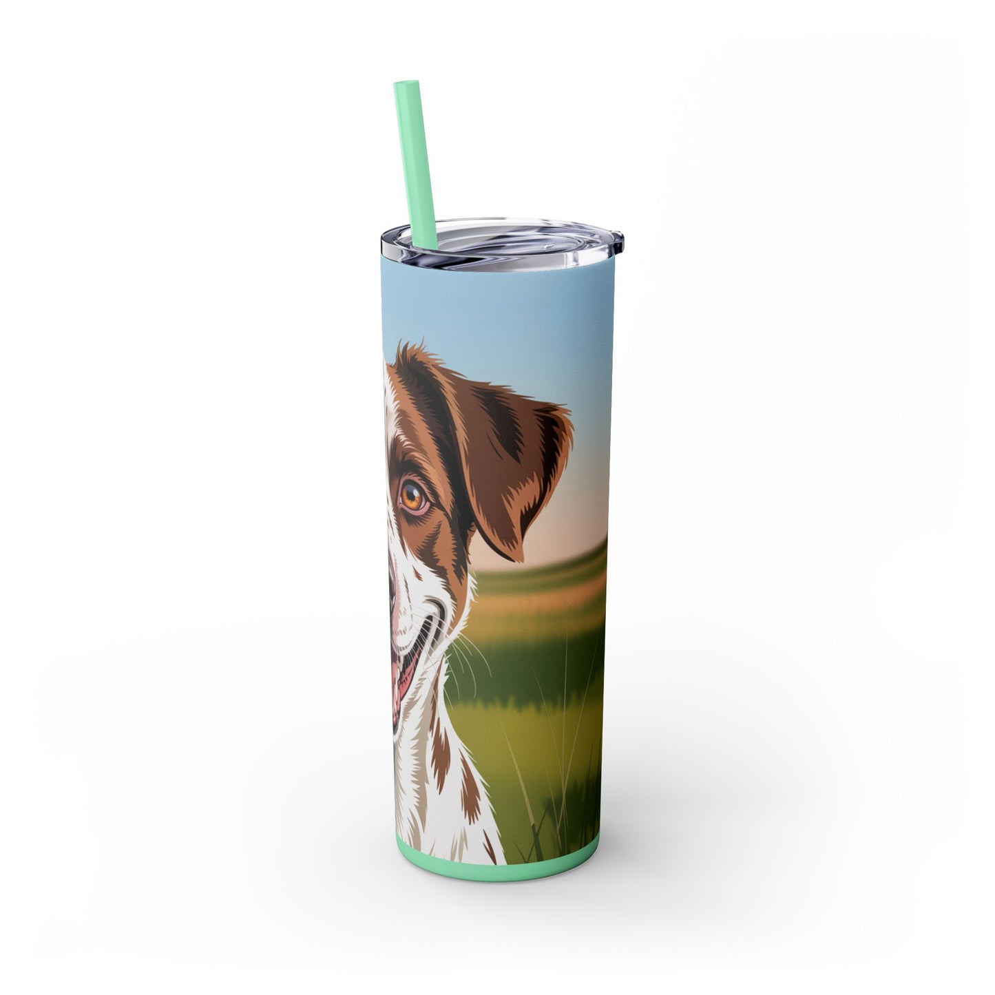 Telomian Skinny Tumbler with Straw, 20oz