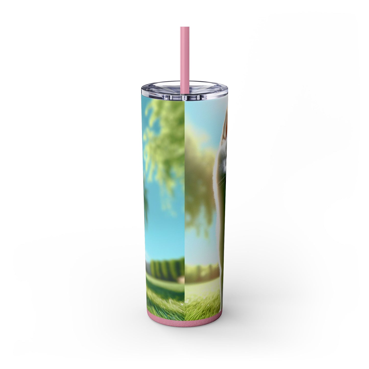 Kishu Ken Tumbler with Straw, 20oz