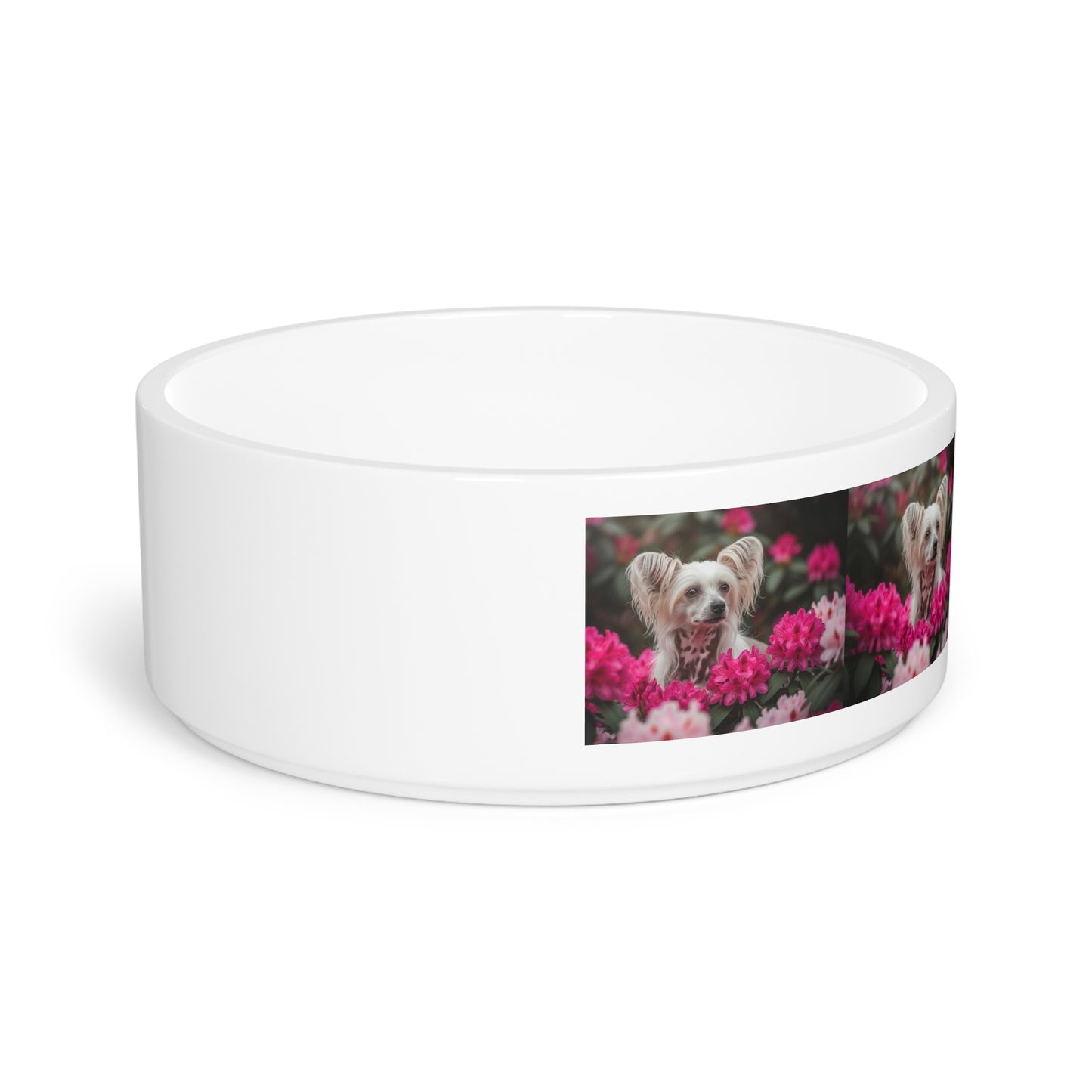 Chinese Crested Pet Bowl