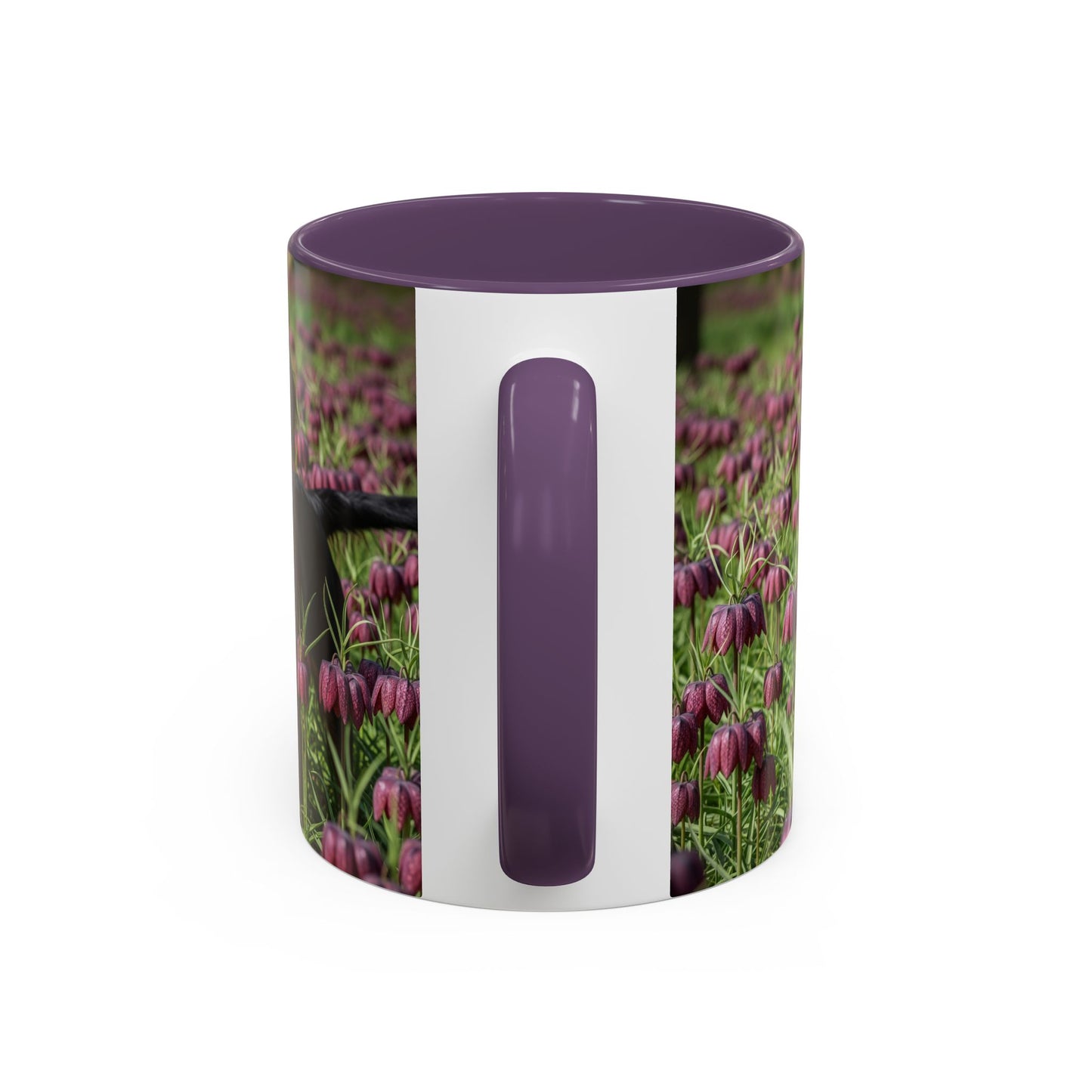 Wetterhoun Accent Coffee Mug - Perfect Gift for Dog Lovers