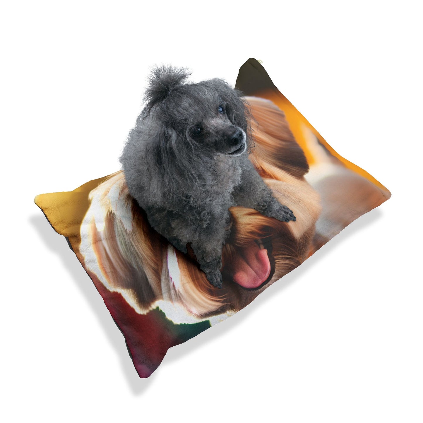 Dandie Dinmont Terrier Pet Bed