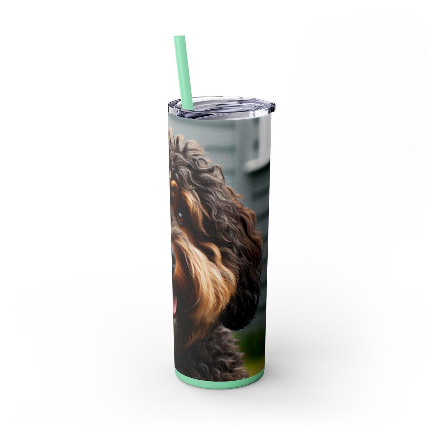 Barbet Tumbler with Straw, 20oz