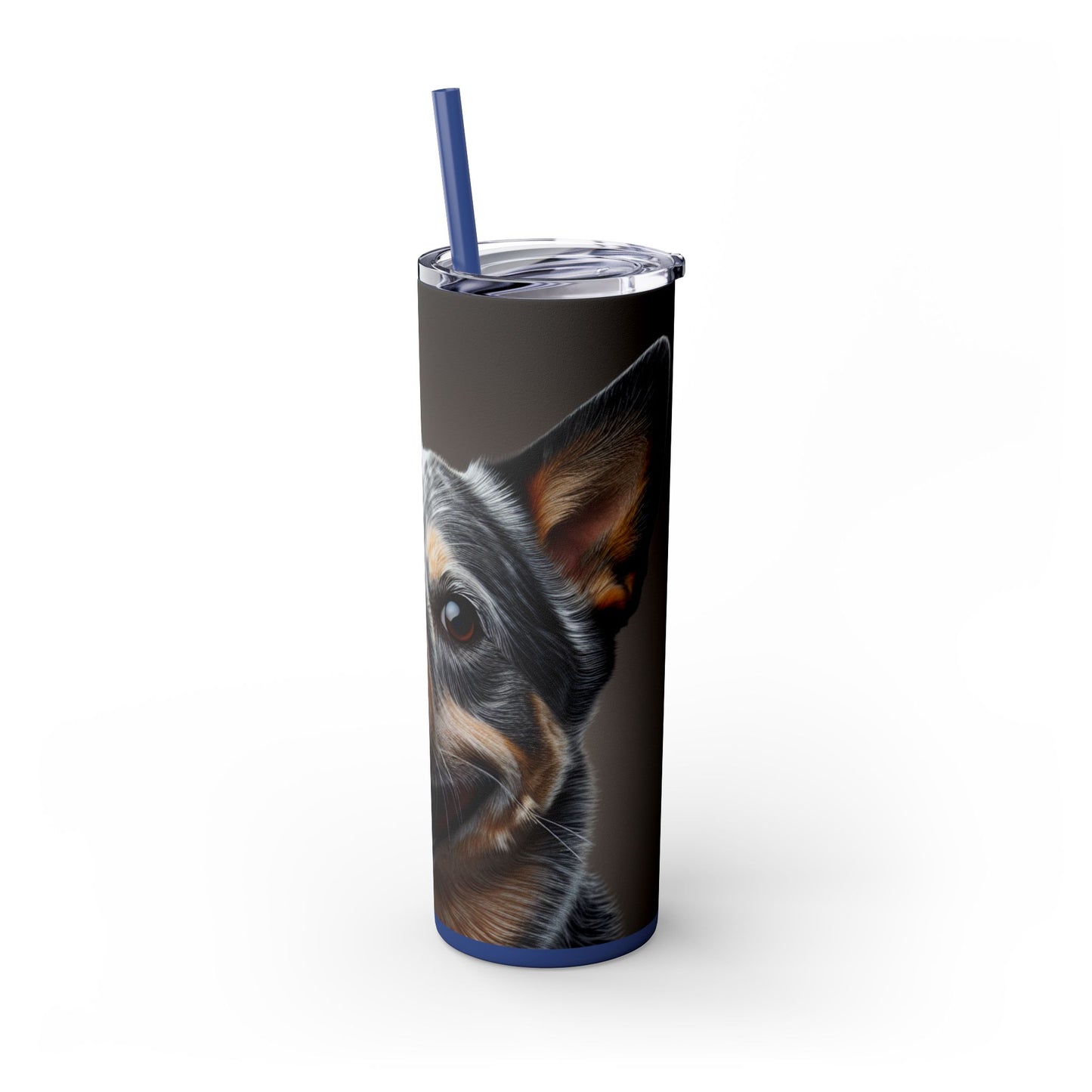 Australian Cattle Dog Tumbler with Straw, 20oz