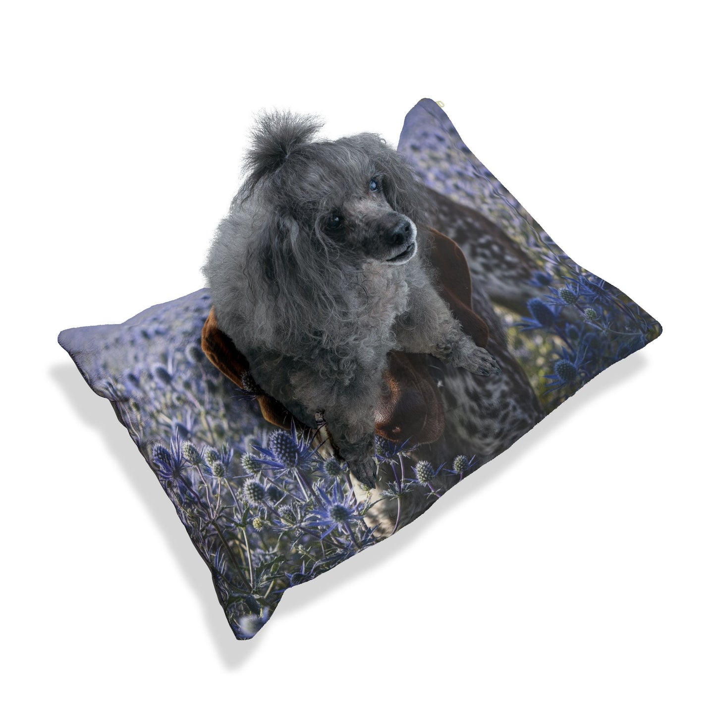 German Shorthaired Pointer Pet Bed