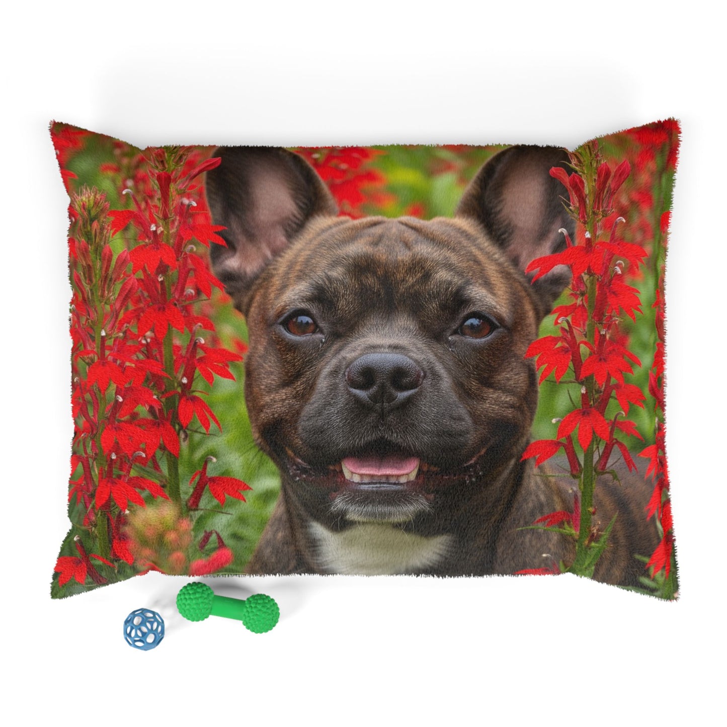 Frenchton Pet Bed