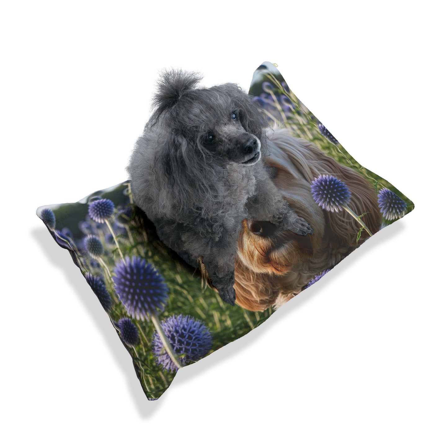 Spoodle Pet Bed