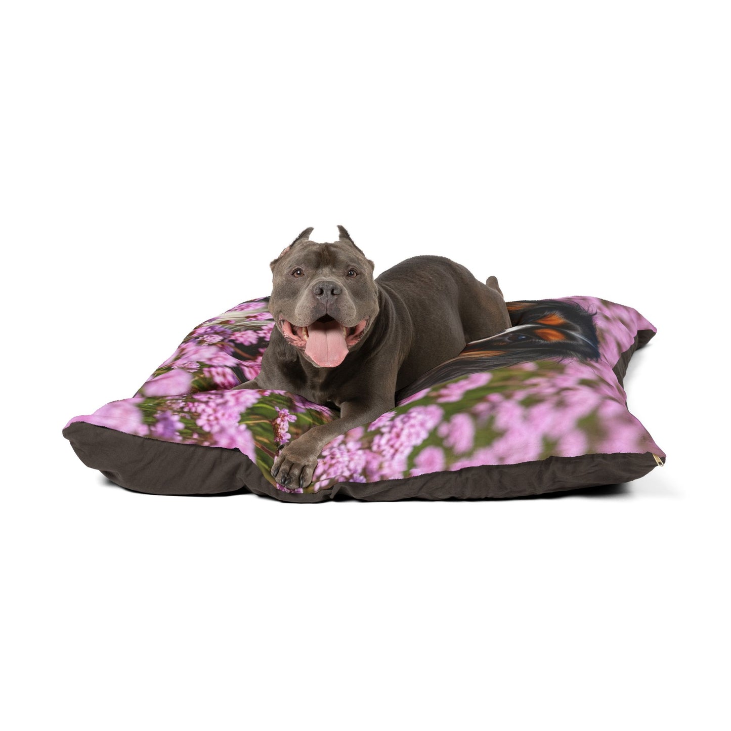 King Charles Spaniel Pet Bed