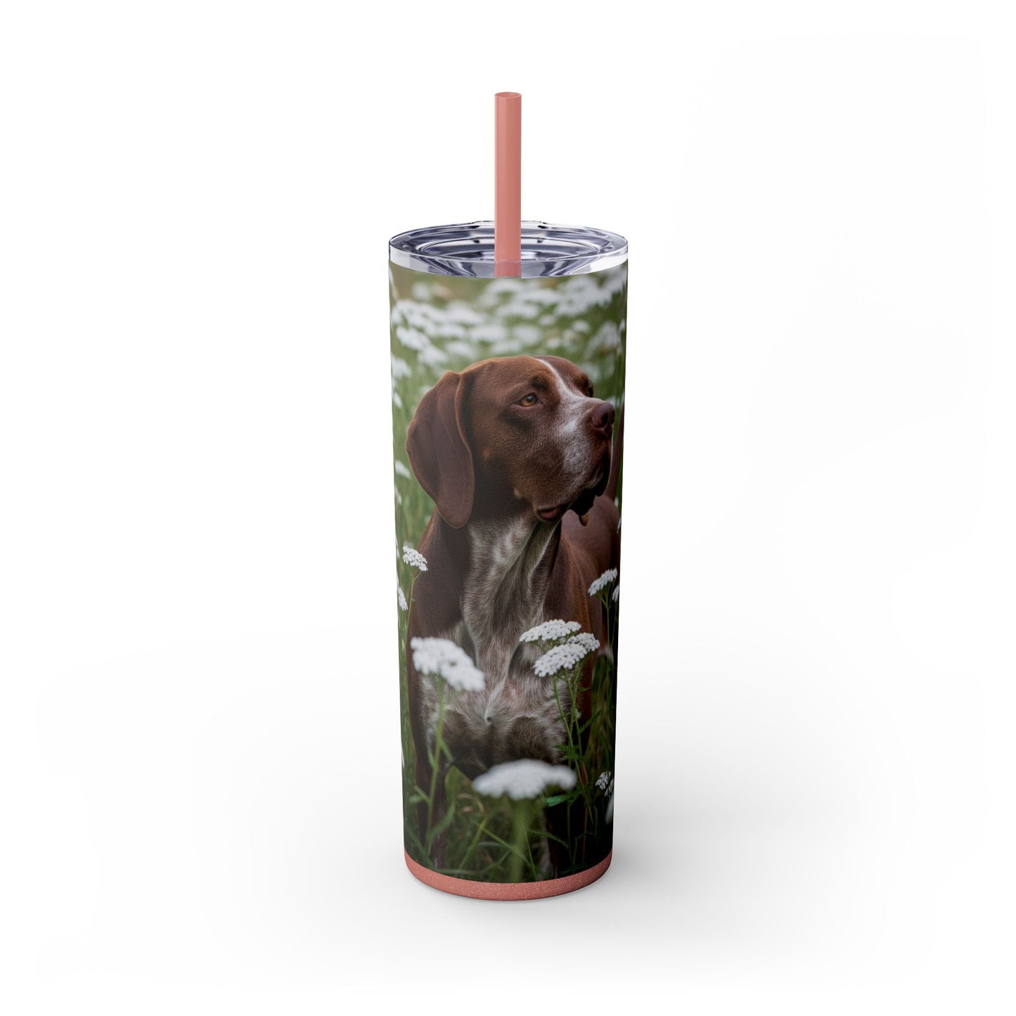 Braque du Bourbonnais Tumbler with Straw, 20oz