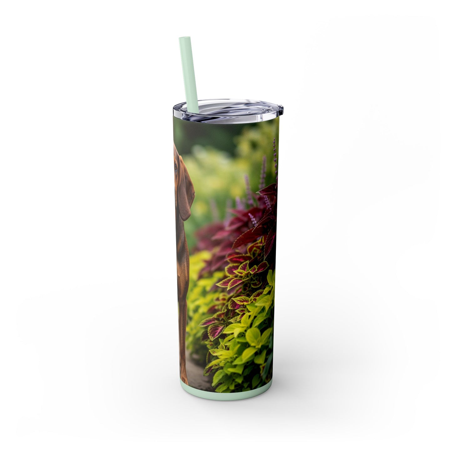 Hamiltonstovare Tumbler with Straw, 20oz