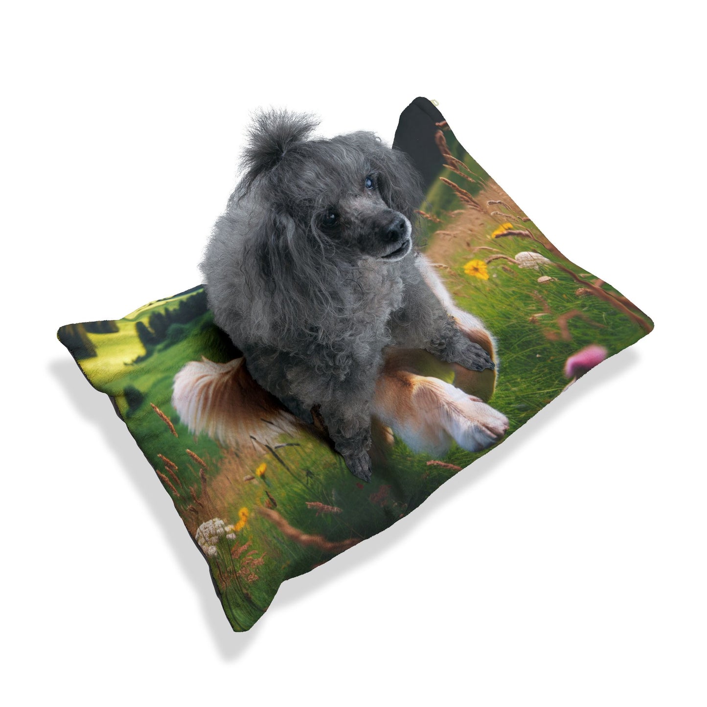 Romanian Carpathian Shepherd Pet Bed