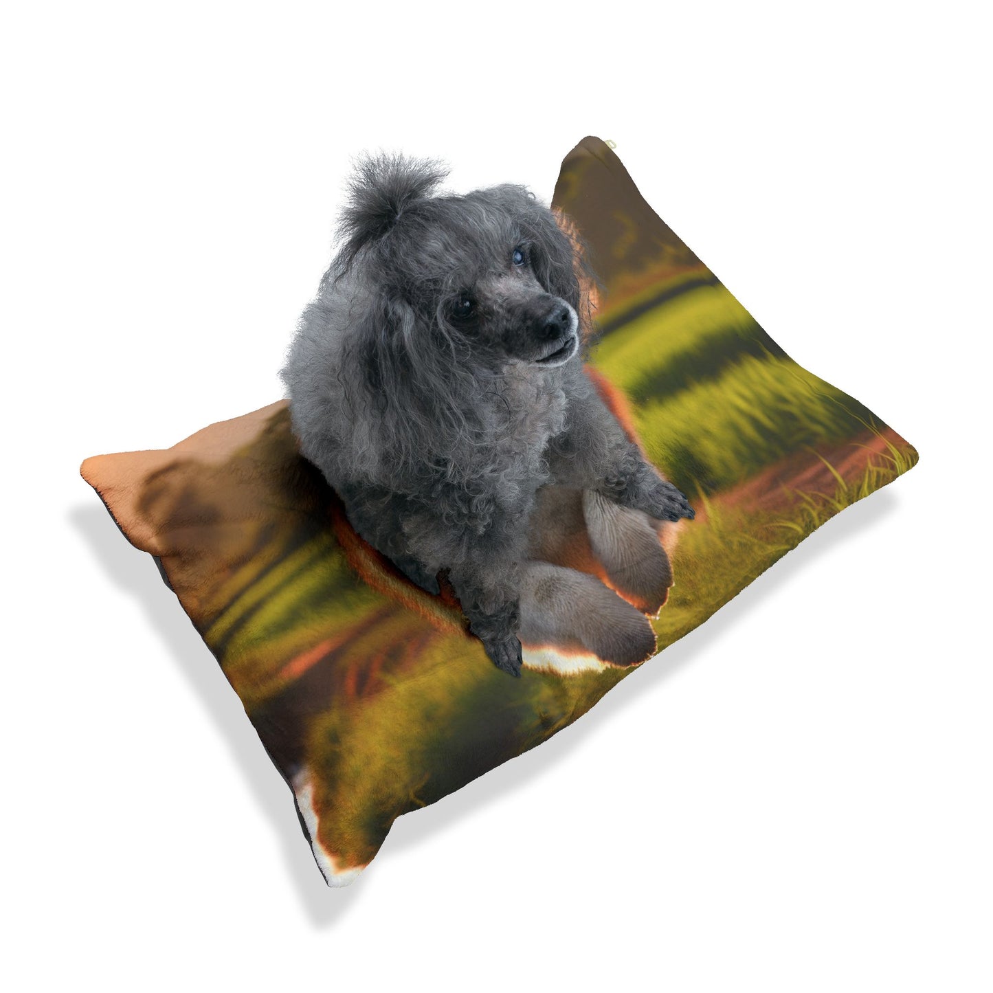 Thai Bangkaew Pet Bed