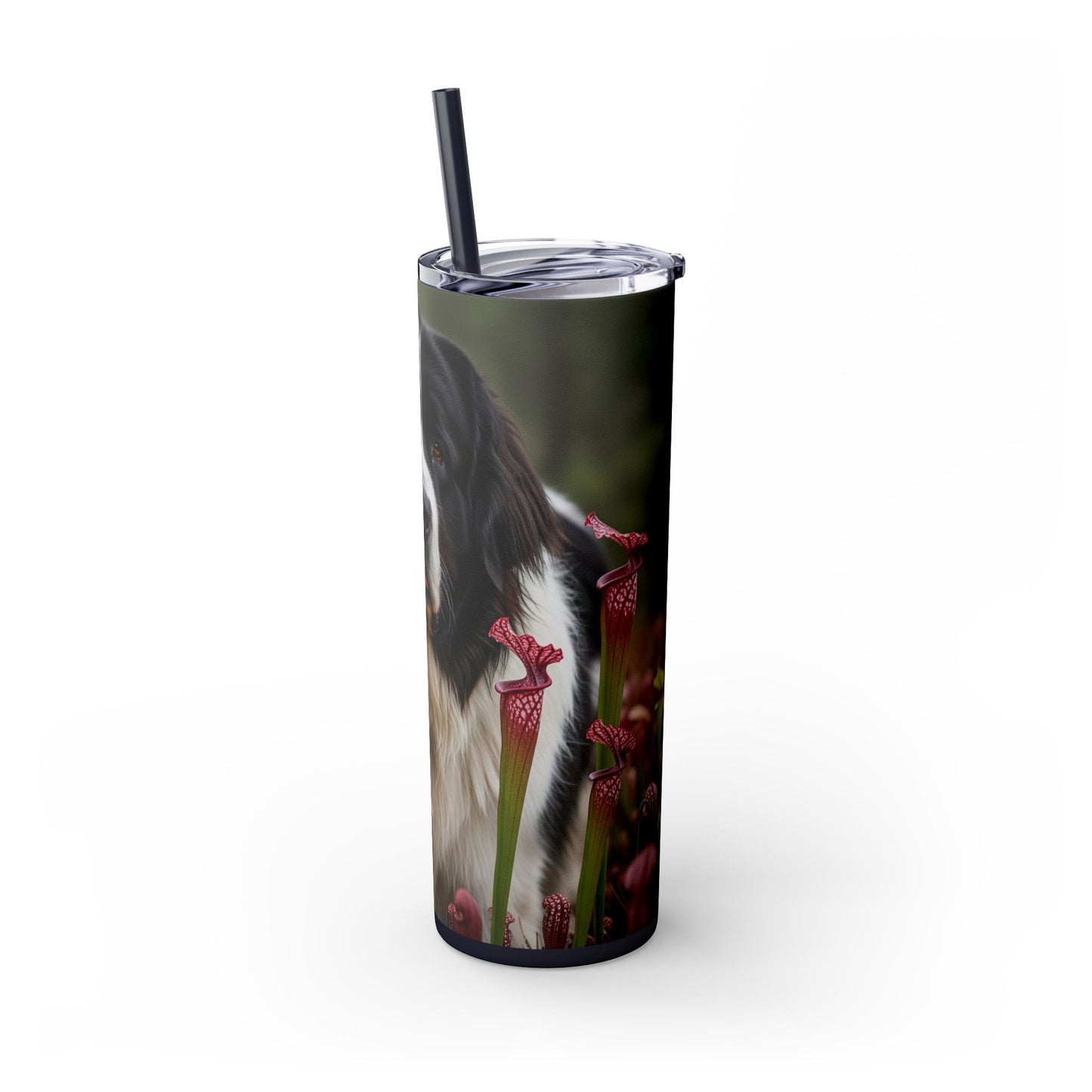 Landseer Tumbler with Straw, 20oz