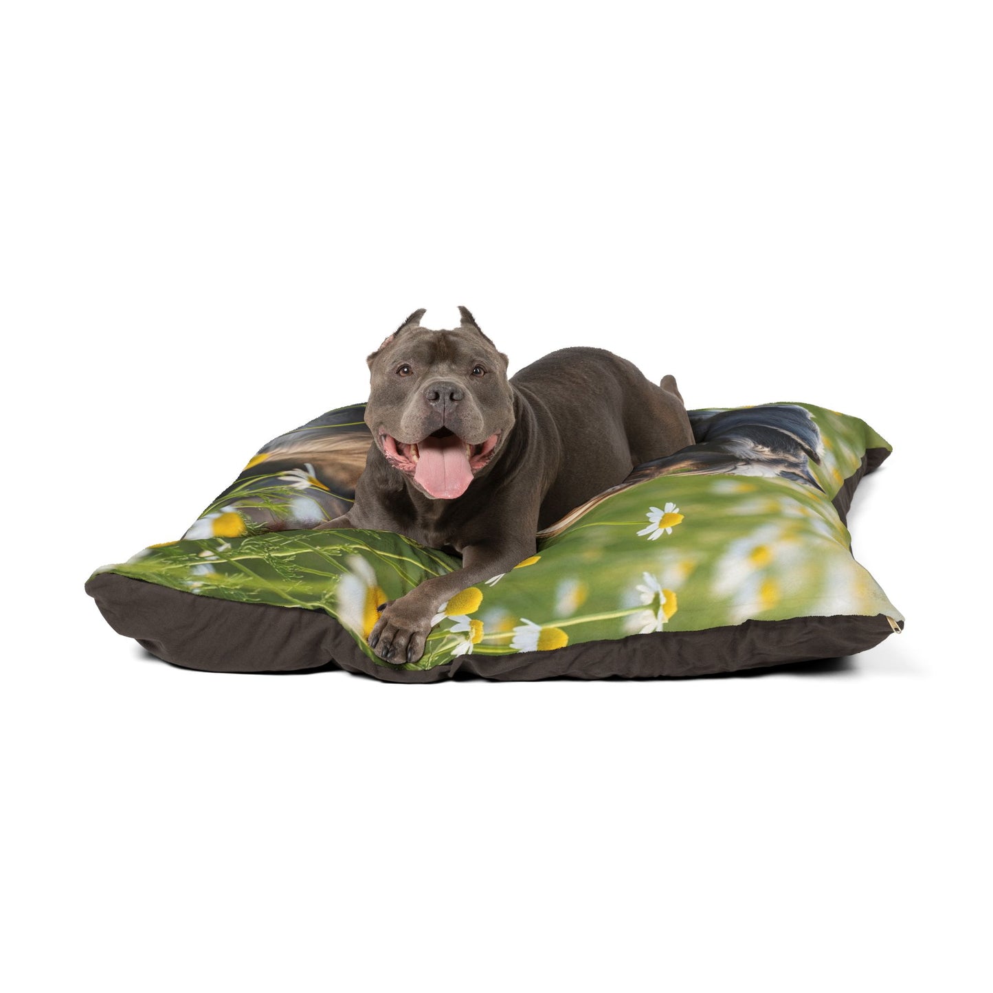 Miniature Schnauzer Pet Bed