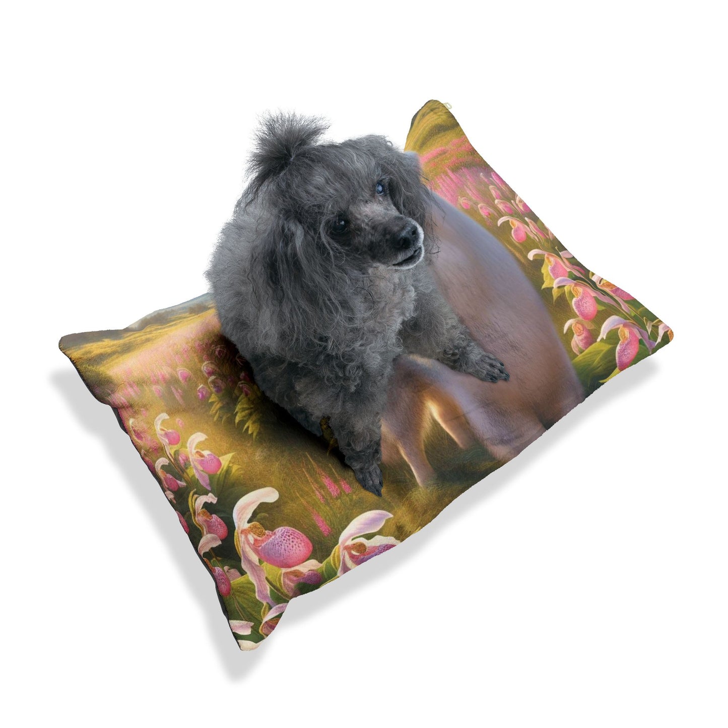 Great Pyrenees Pet Bed