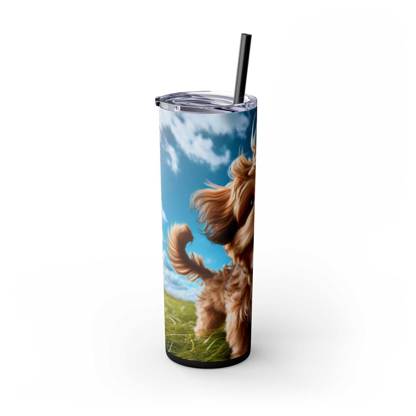 Kaikadi Tumbler with Straw, 20oz