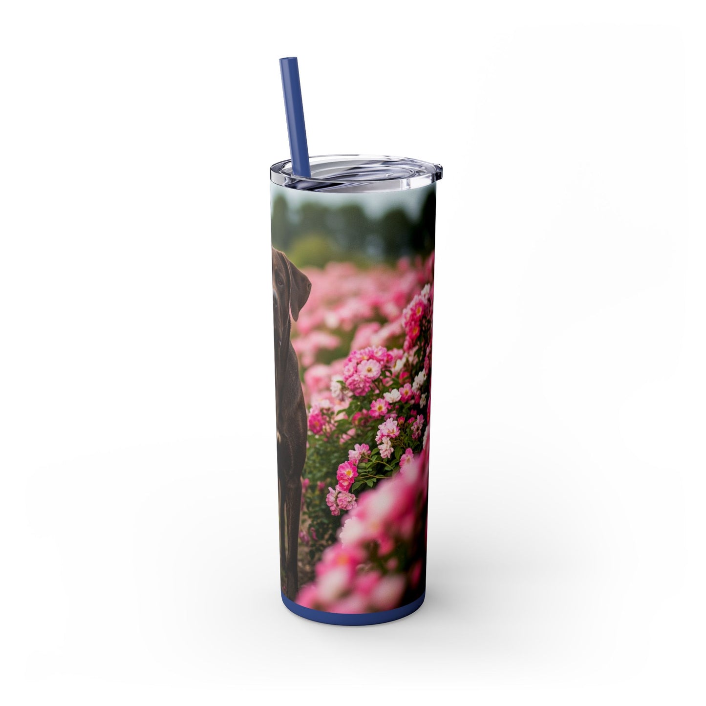 Broholmer Tumbler with Straw, 20oz
