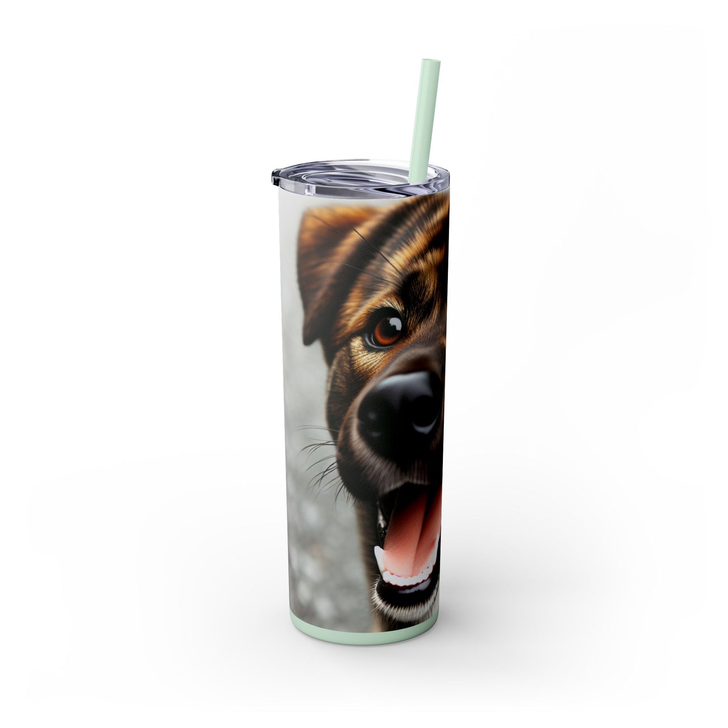 Kai Ken Tumbler with Straw, 20oz