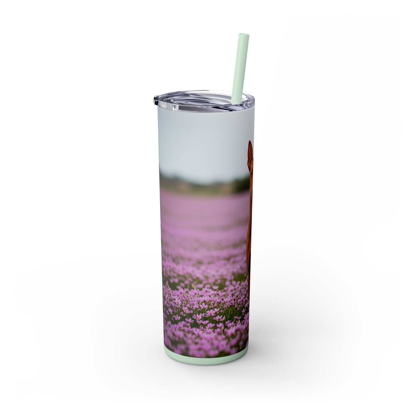 Pharaoh Hound Skinny Tumbler with Straw, 20oz