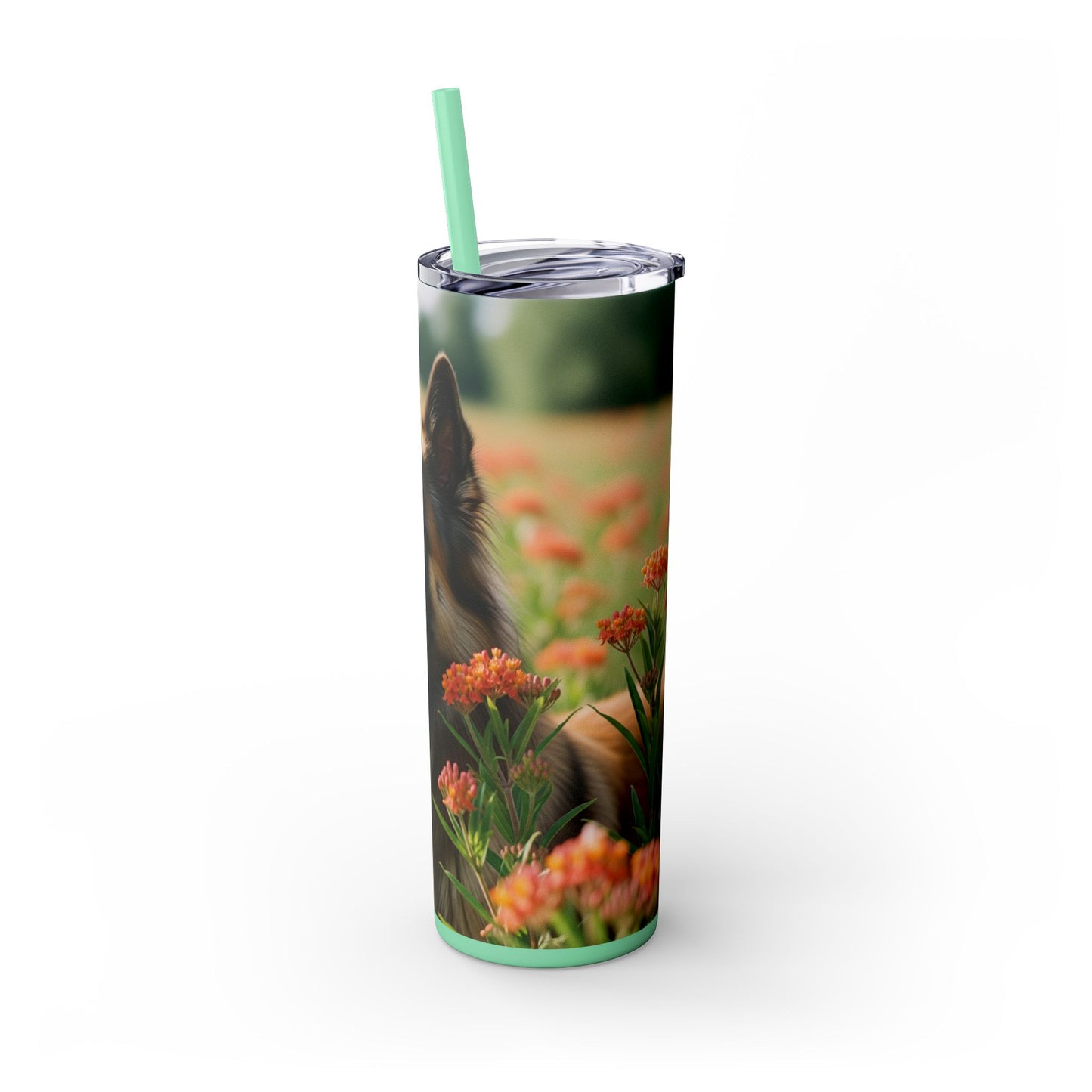 Belgian Tervuren Tumbler with Straw, 20oz