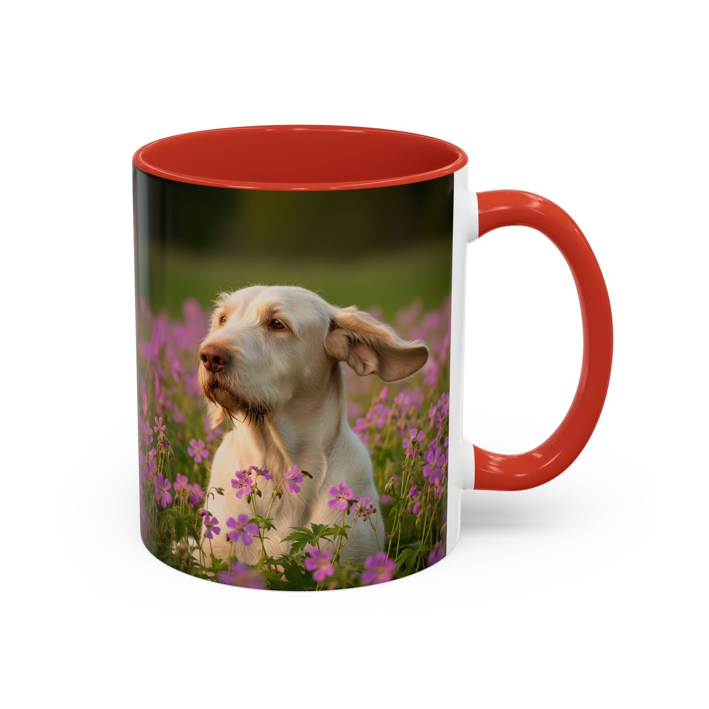 Spinone Italiano Accent Coffee Mug - Perfect Gift for Dog Lovers