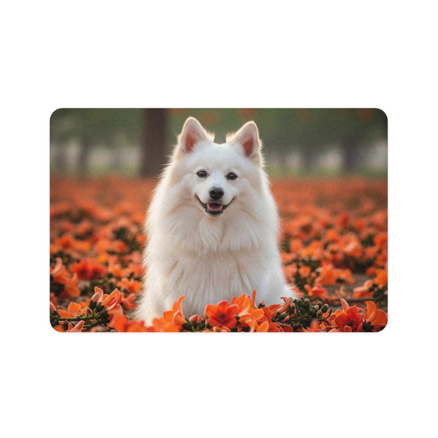 Pet Food Mat (12x18) - Indian Spitz