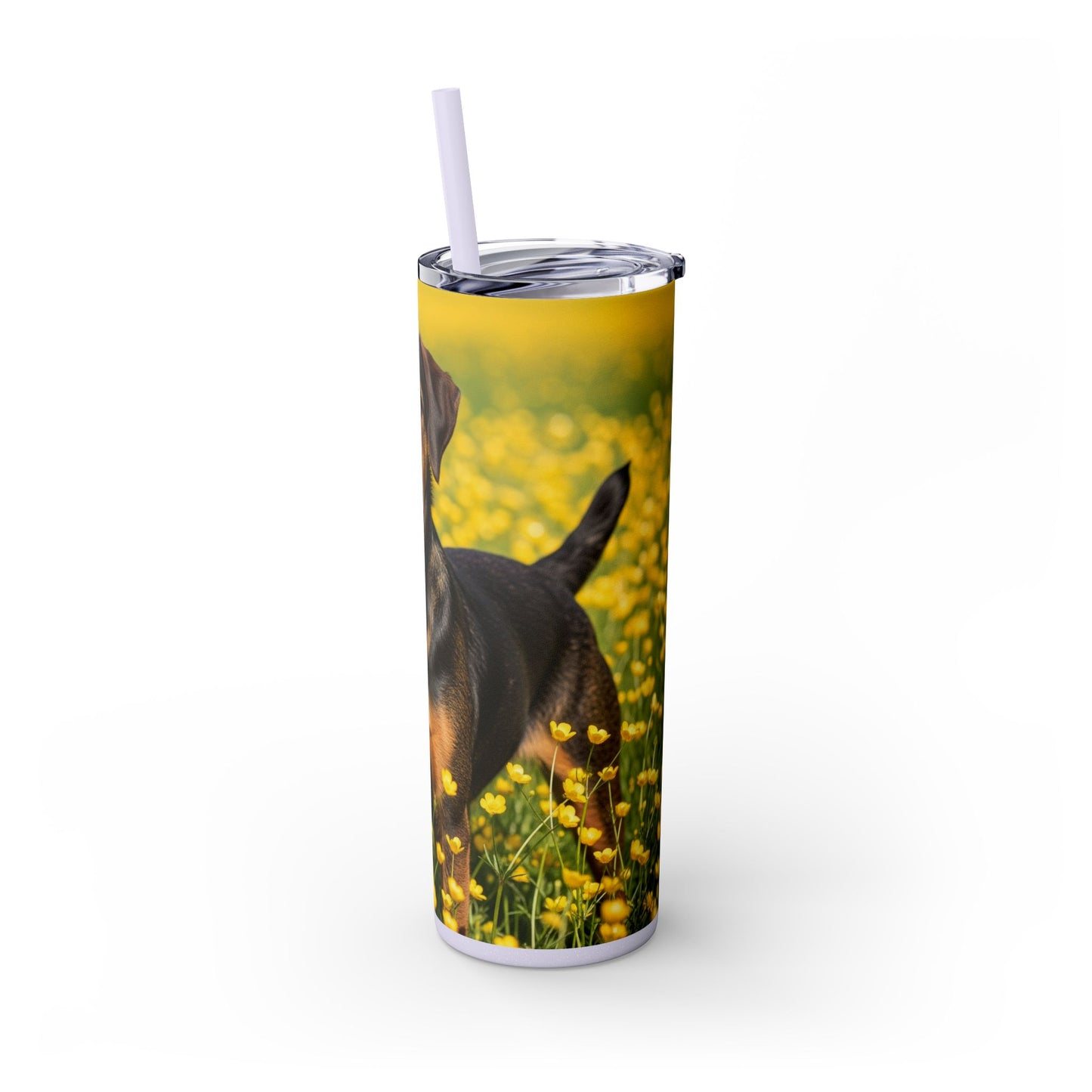 Drever Tumbler with Straw, 20oz
