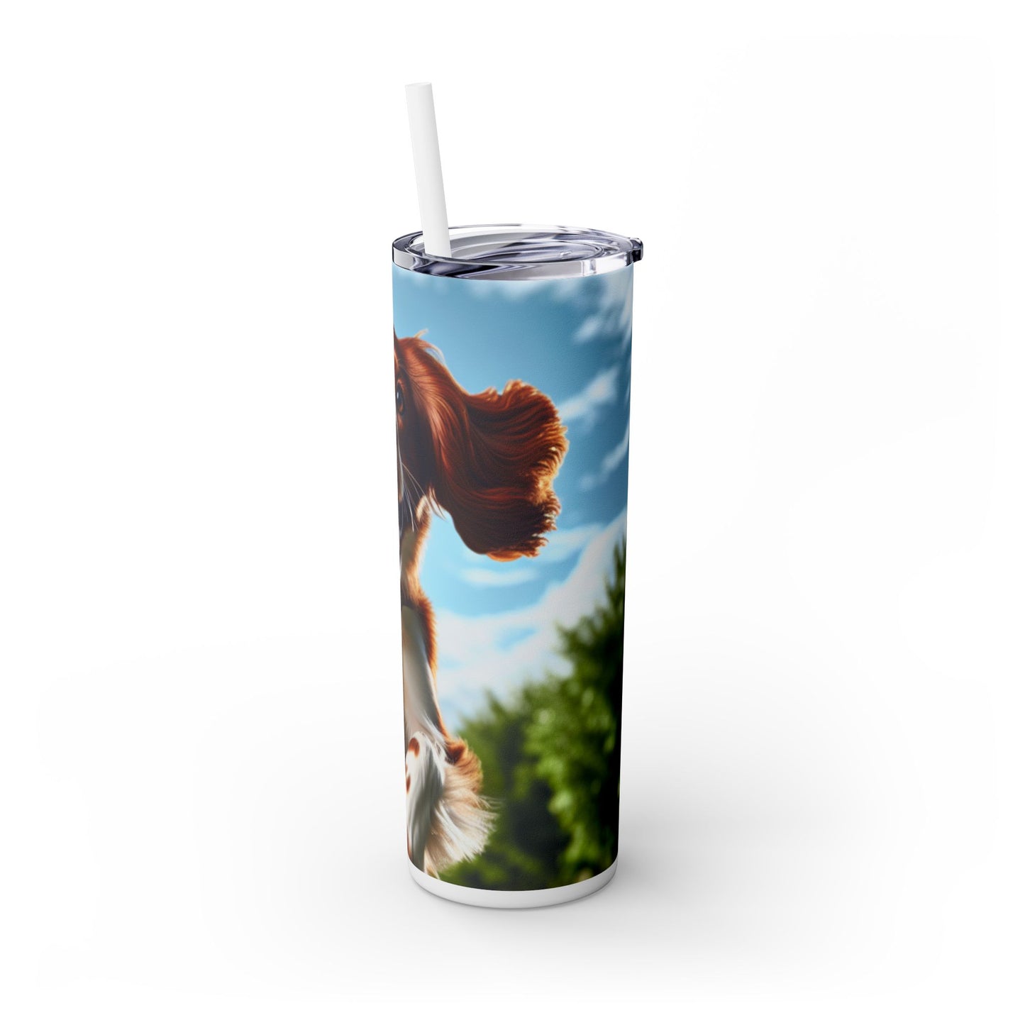 Welsh Springer Spaniel Skinny Tumbler with Straw, 20oz
