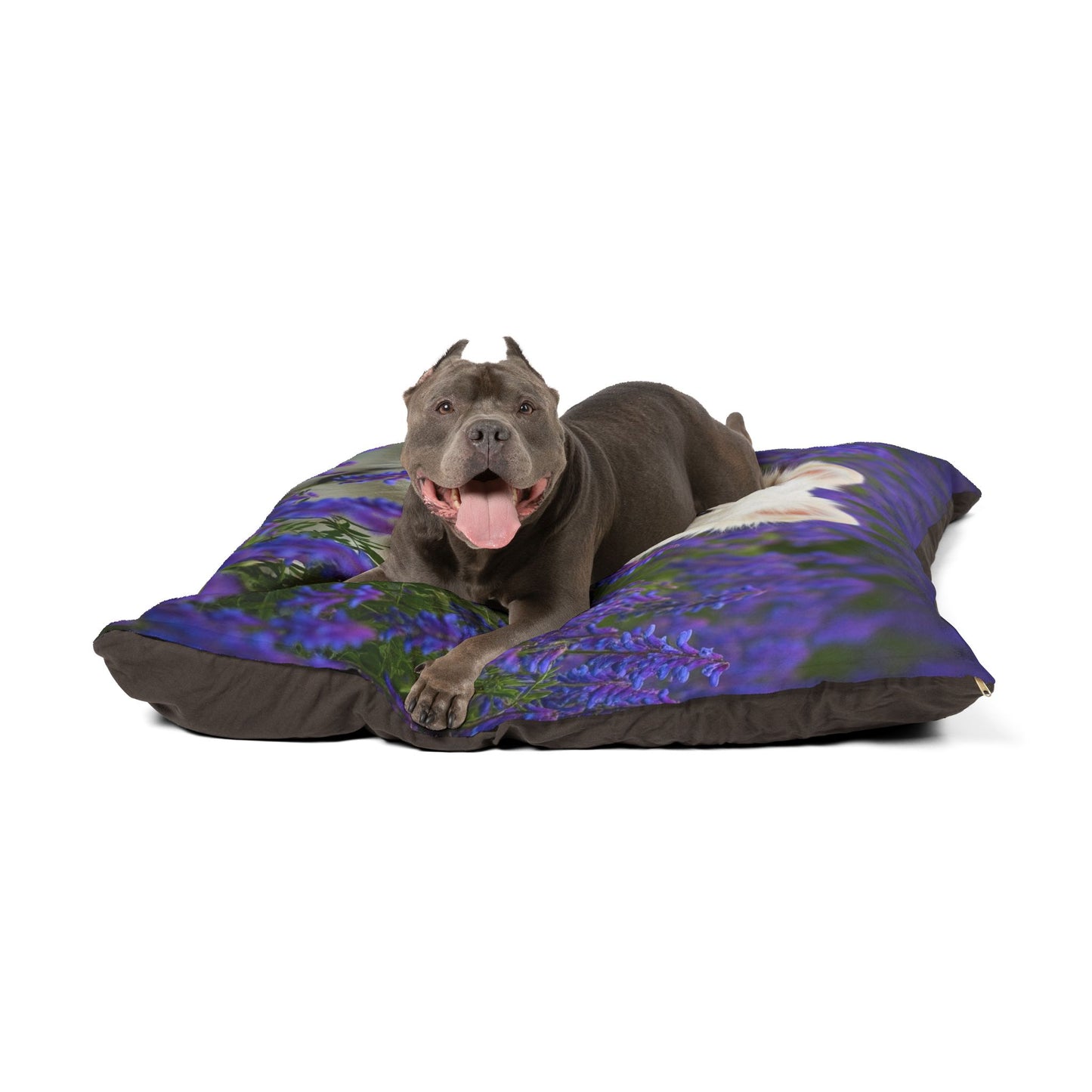 Pomeranian Pet Bed