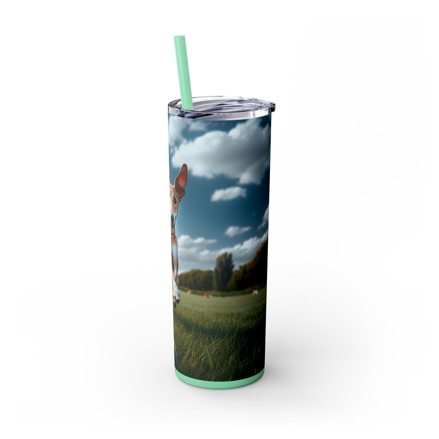 Ibizan Hound Tumbler with Straw, 20oz