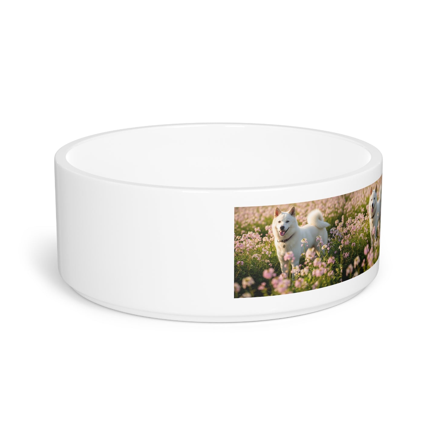Kishu Ken Pet Bowl