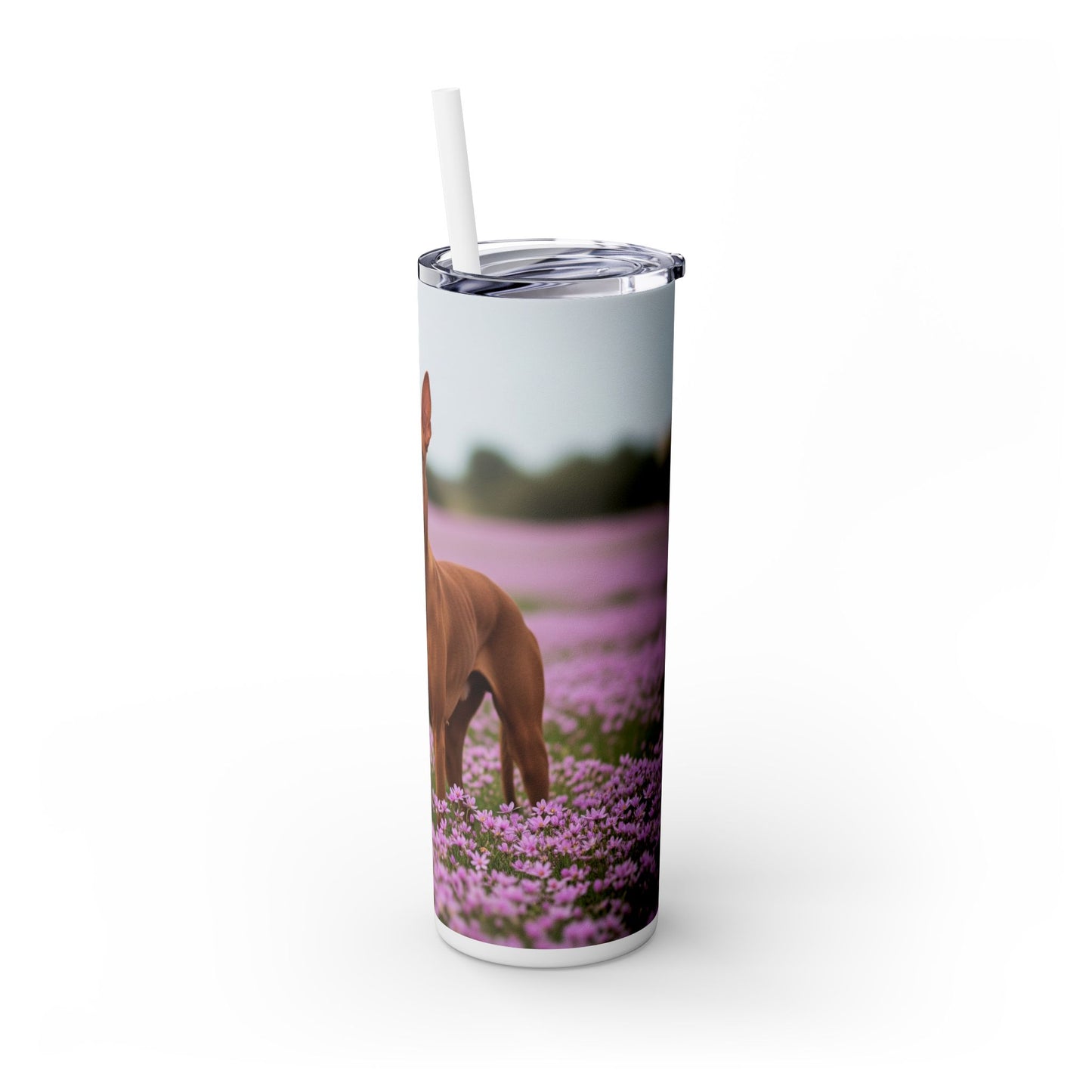 Pharaoh Hound Skinny Tumbler with Straw, 20oz