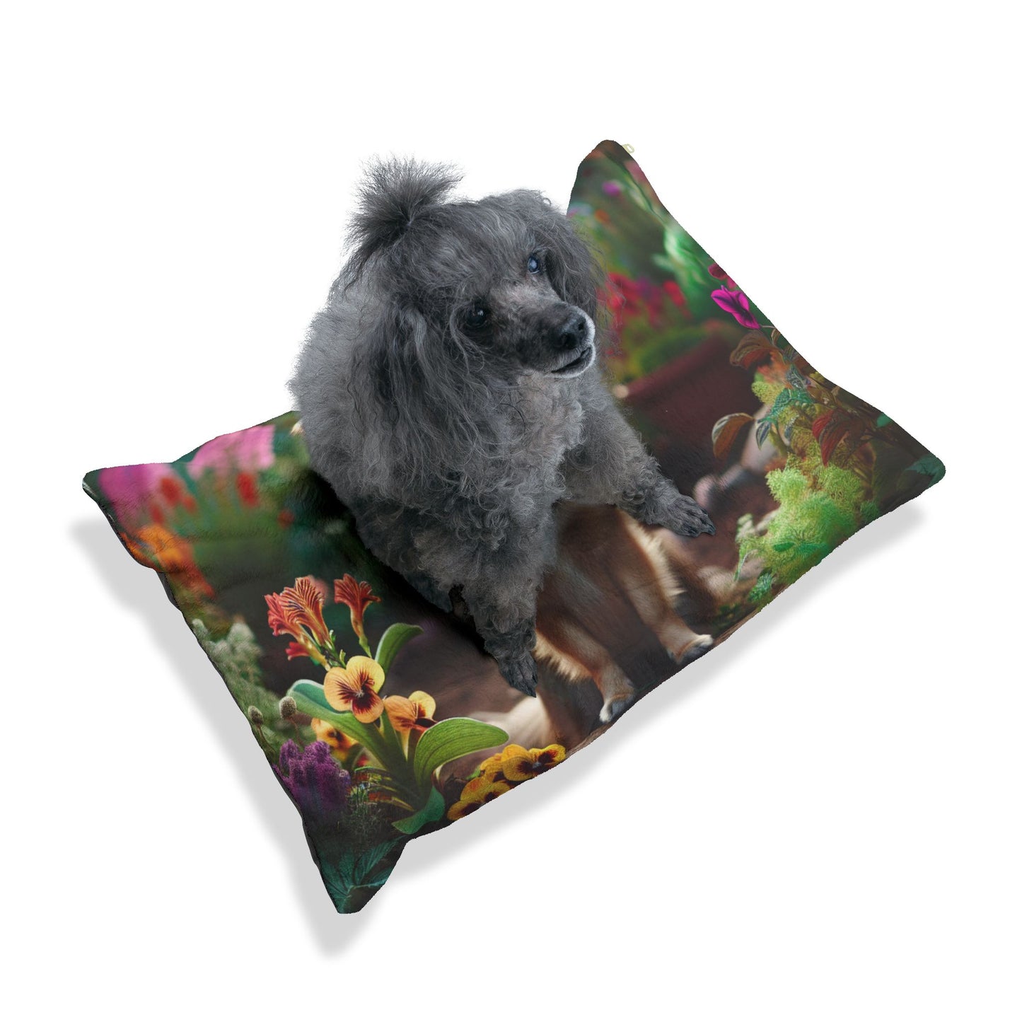 Peruvian Inca Orchid Pet Bed