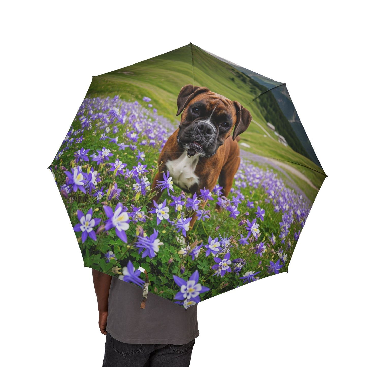 Boxer Semi-Automatic Foldable Umbrella