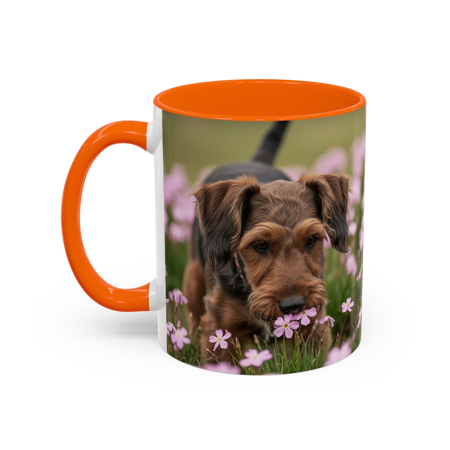 Cesky Terrier Accent Coffee Mug - Perfect Gift for Dog Lovers