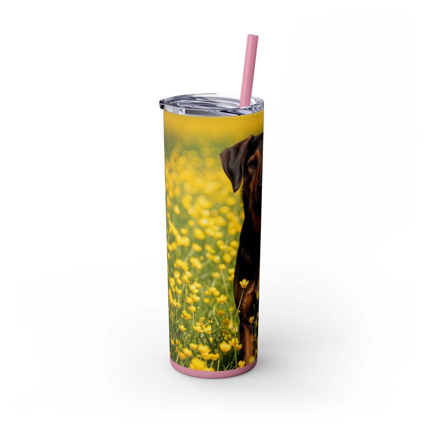 Drever Tumbler with Straw, 20oz