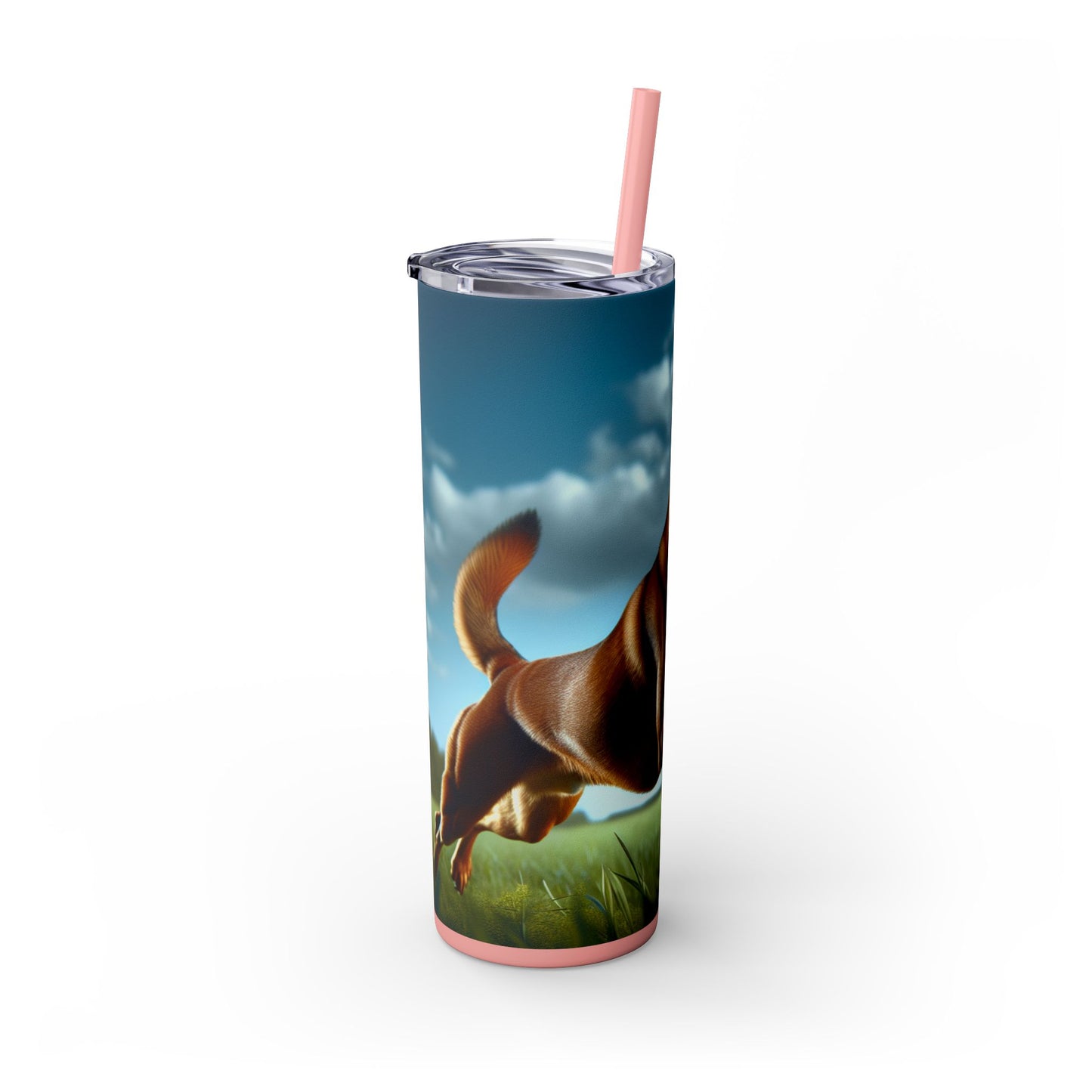 Kanni Tumbler with Straw, 20oz