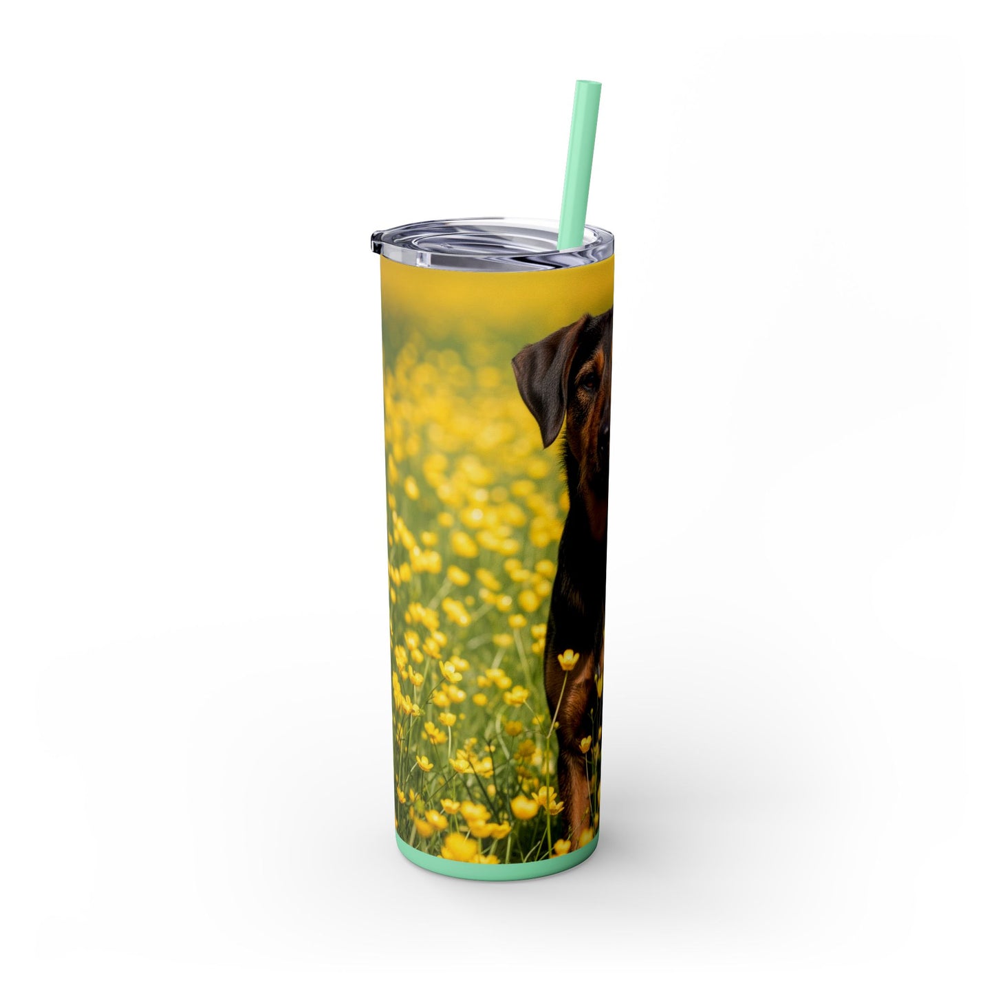 Drever Tumbler with Straw, 20oz