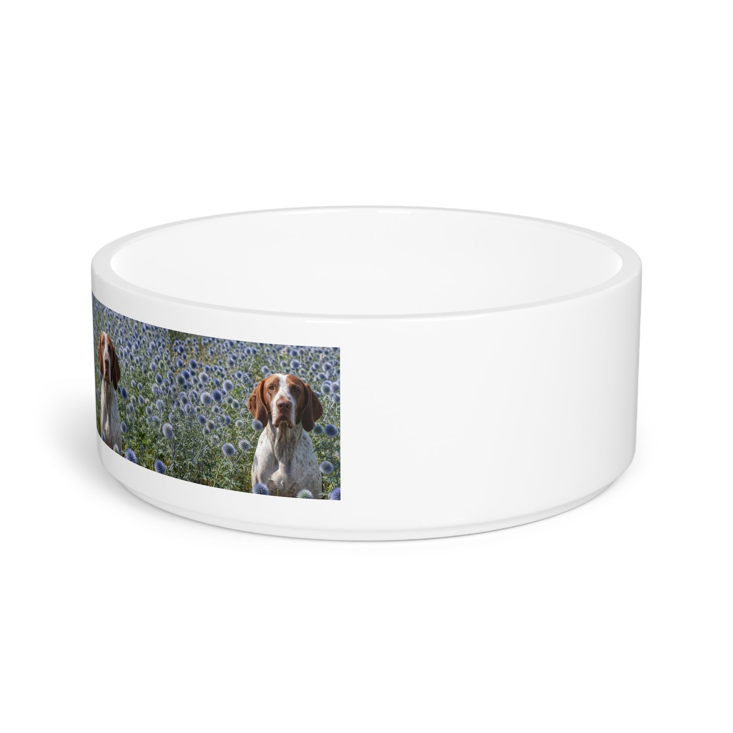 Braque Francais Pyrenean Pet Bowl