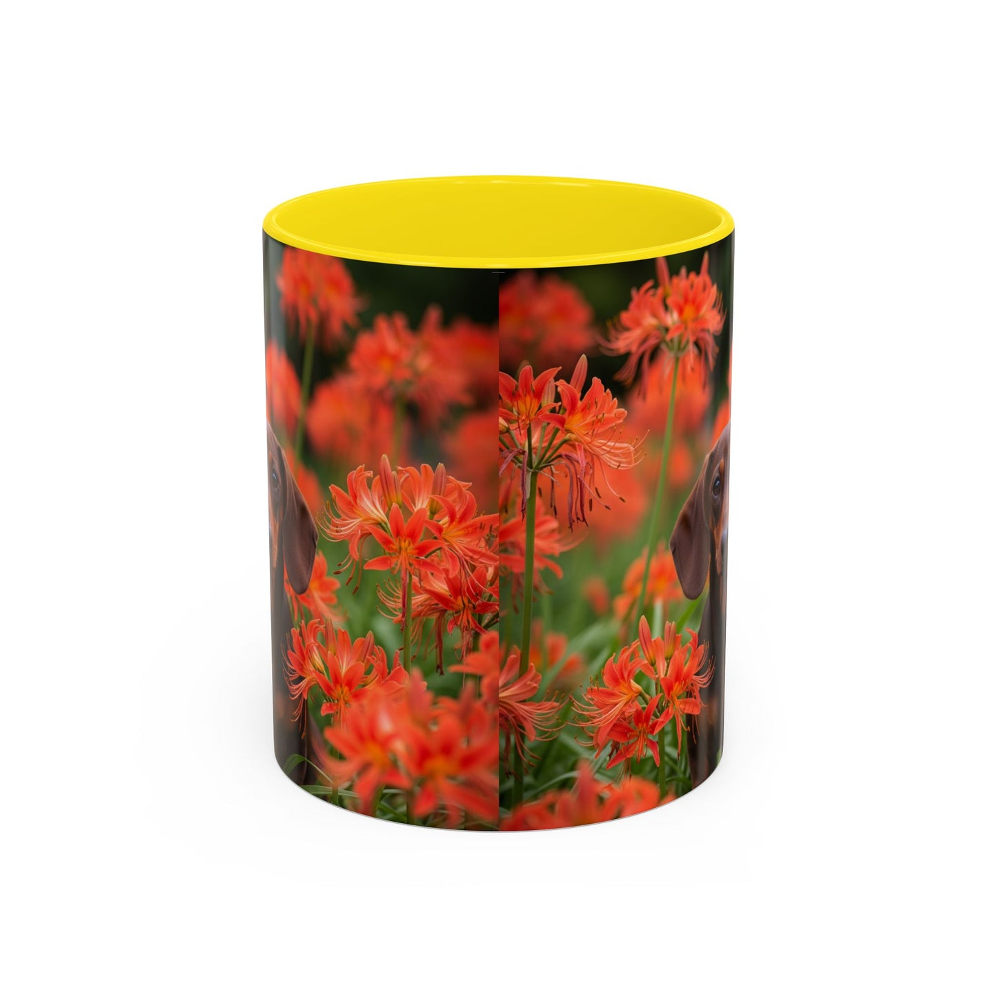 Dachshund Accent Coffee Mug - Perfect Gift for Dog Lovers