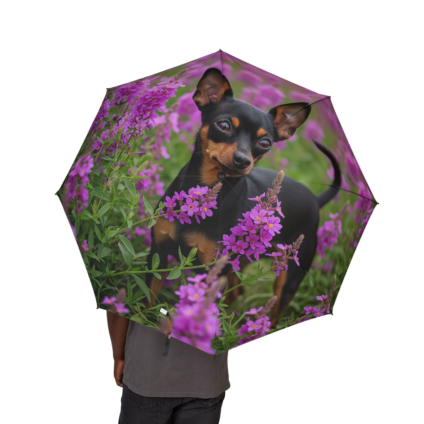 English Toy Terrier Semi-Automatic Foldable Umbrella