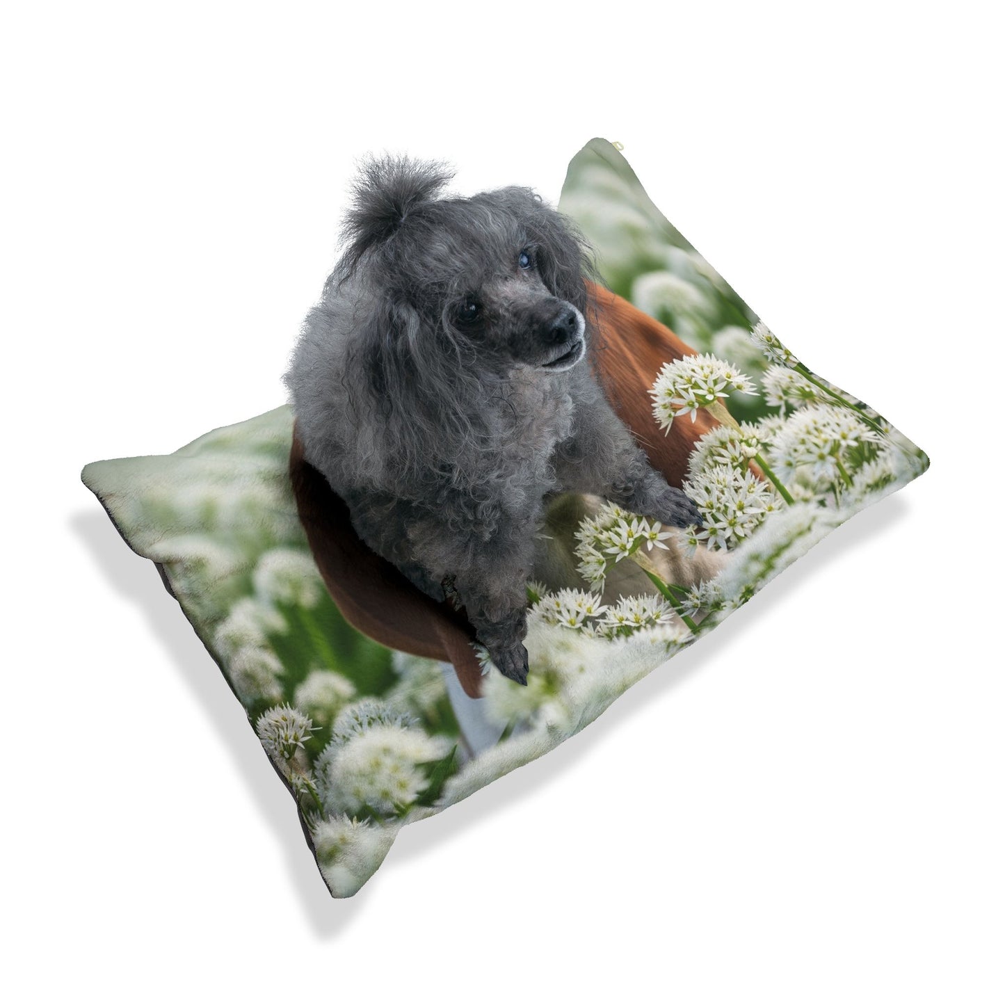 Petit Basset Griffon Vendeen Pet Bed