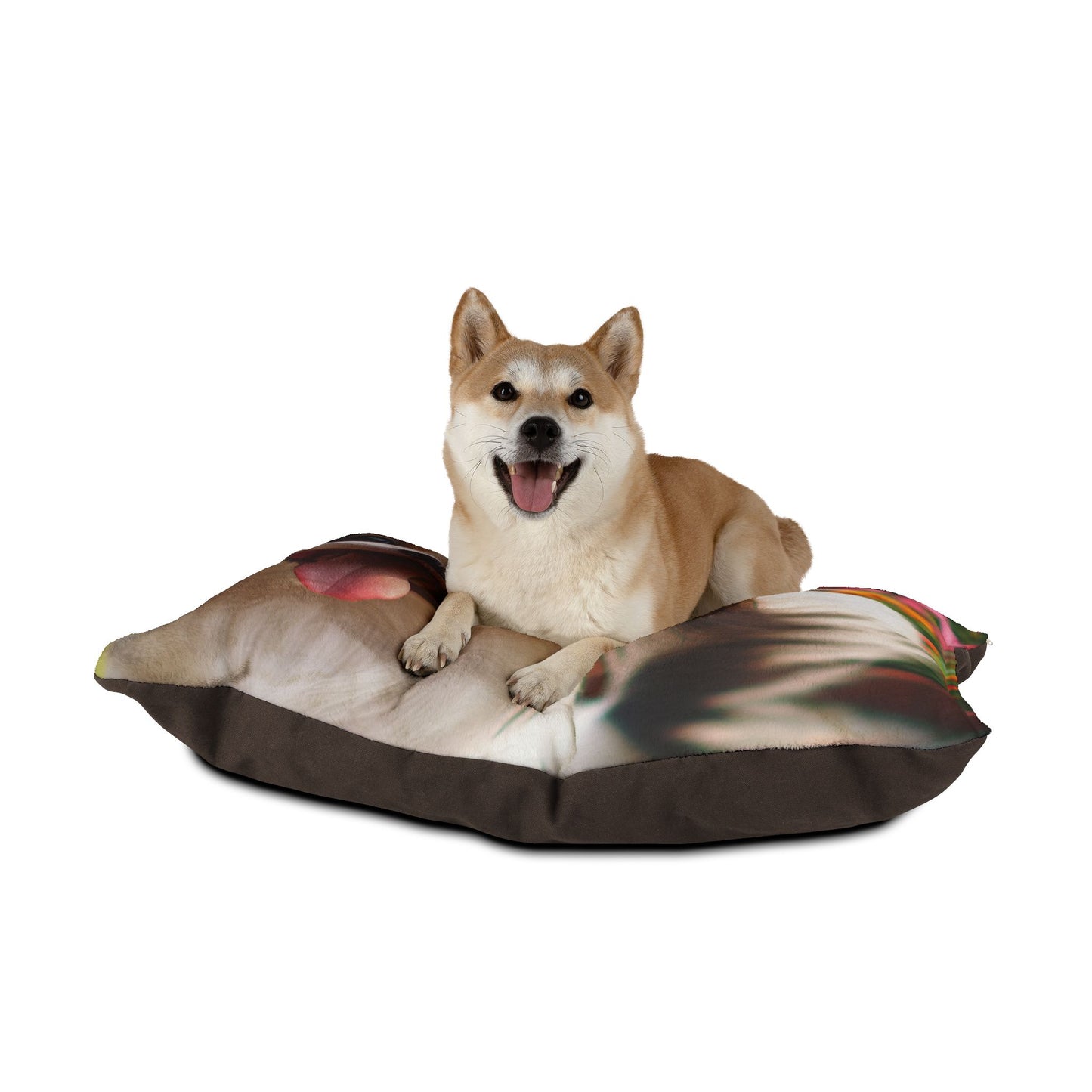 Japanese Chin Pet Bed