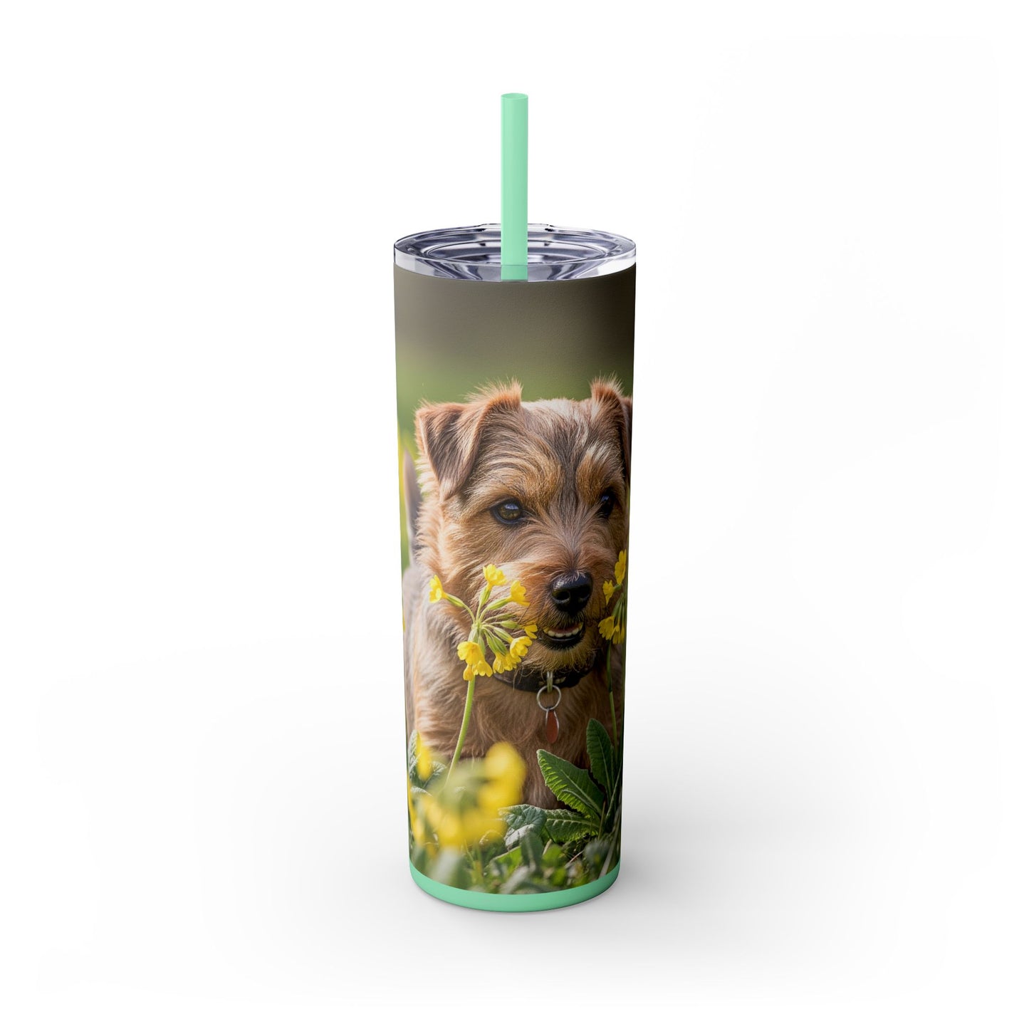 Norfolk Terrier Skinny Tumbler with Straw, 20oz