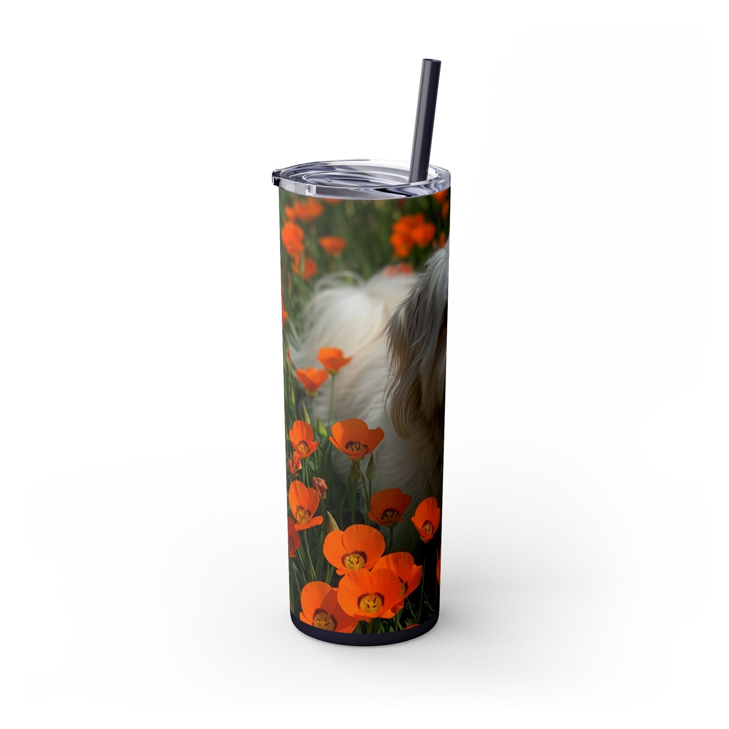Havanese Tumbler with Straw, 20oz