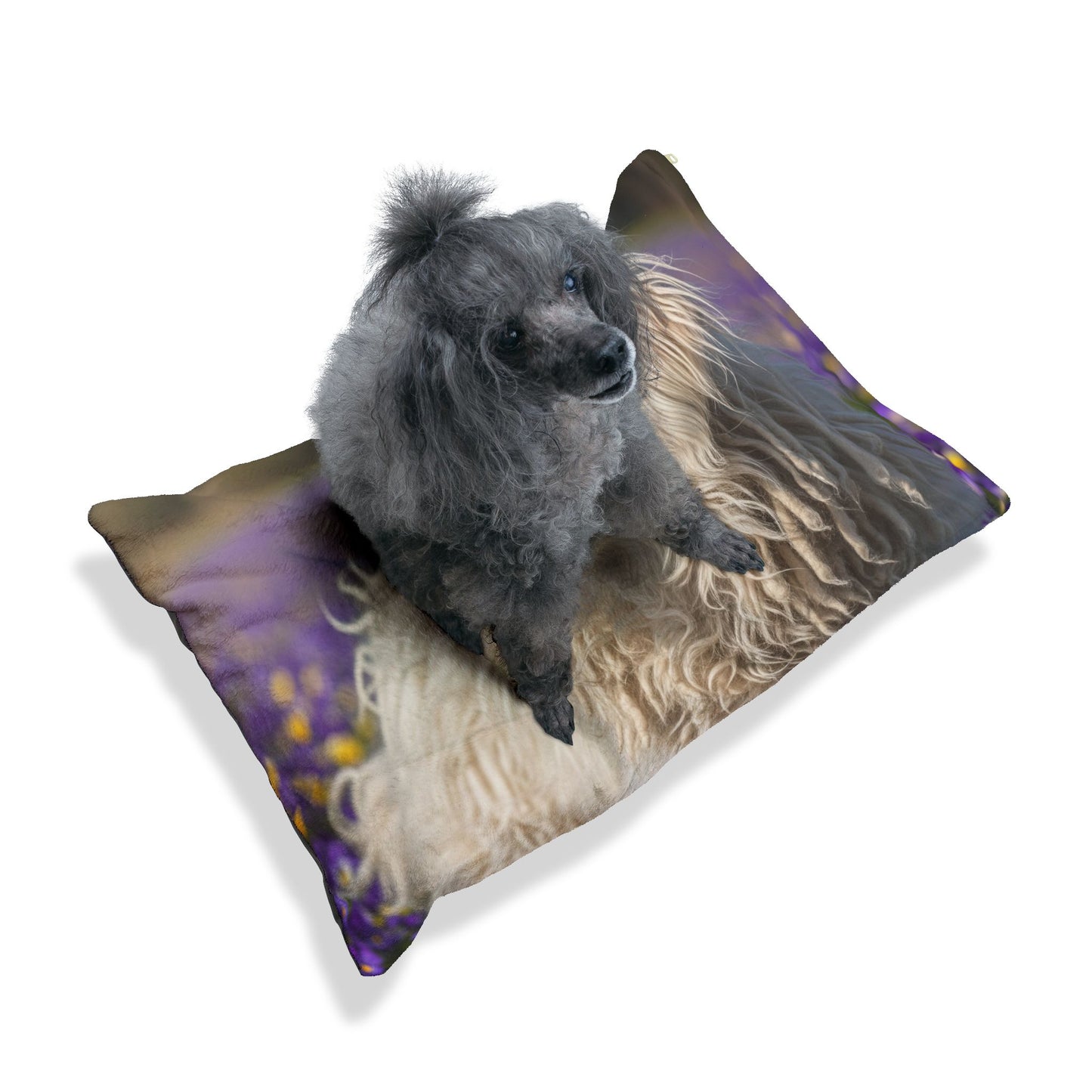 Komondor Pet Bed