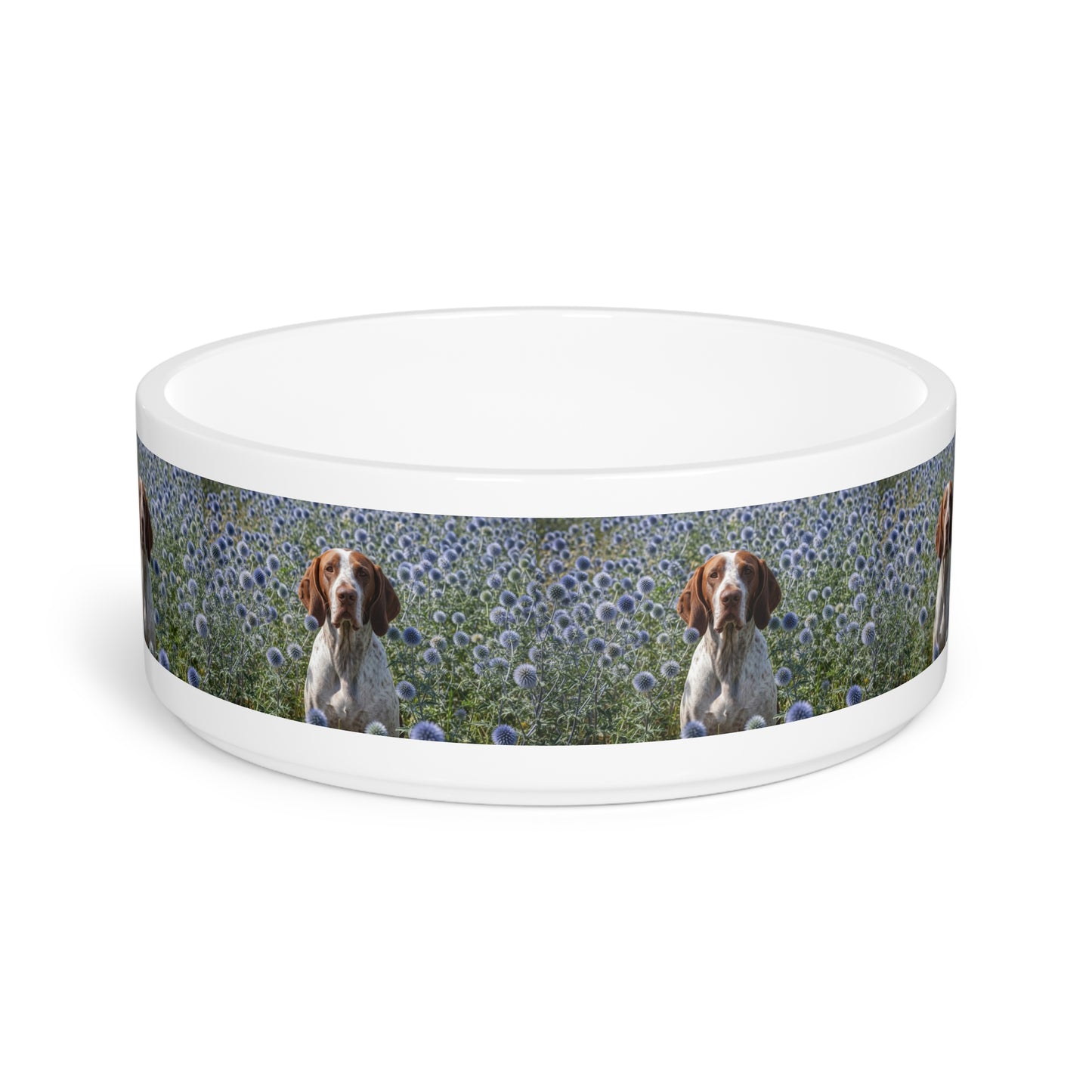 Braque Francais Pyrenean Pet Bowl